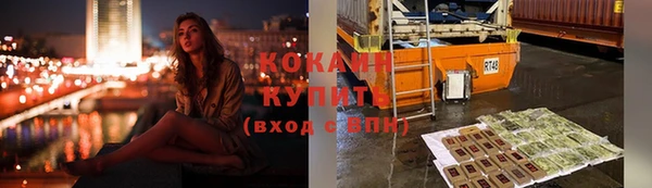 индика Красноперекопск