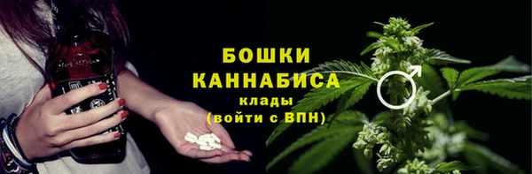 индика Красноперекопск